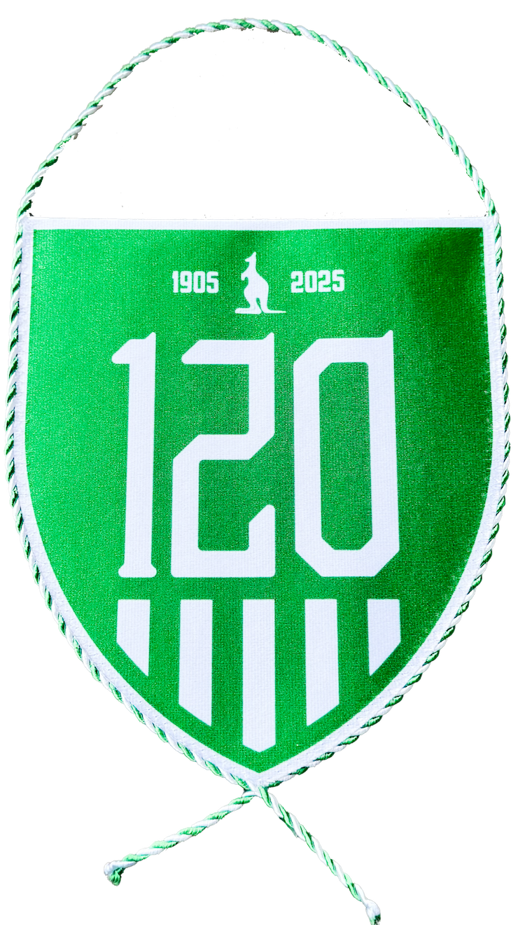 6270-vlajecka stredni 120let 1